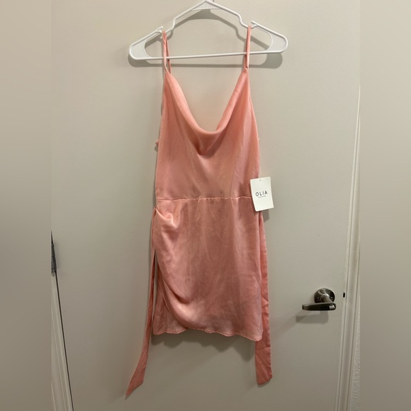 NWT Olia Clothing Here With Us Satin Mini Dress in Pink - Picture 2 of 10